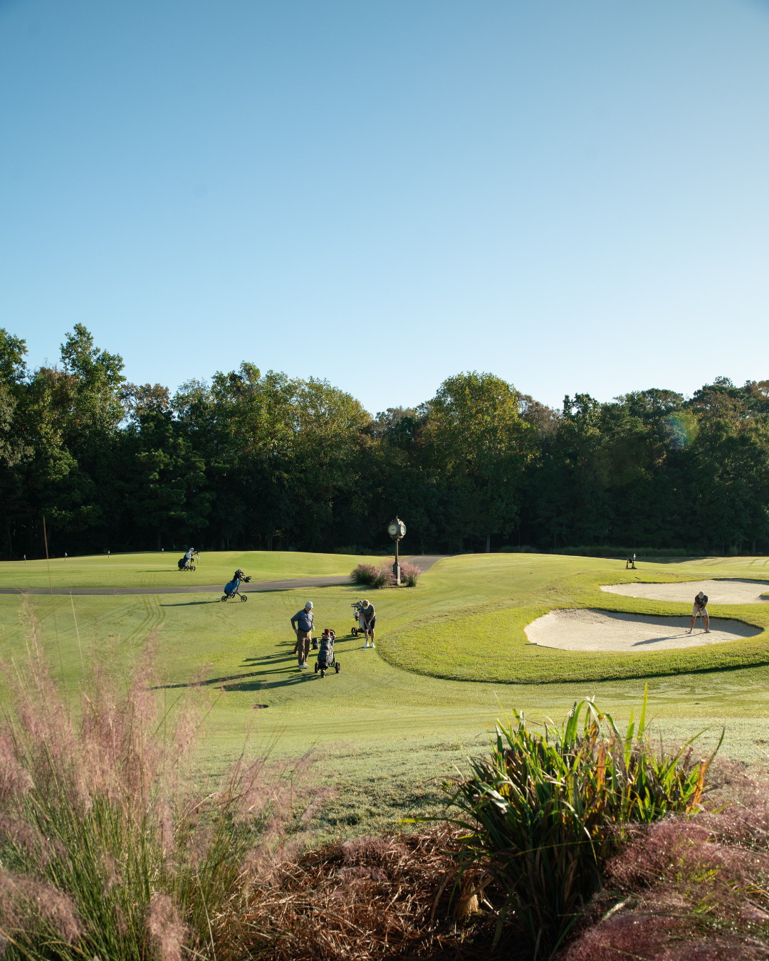 Championship Golf